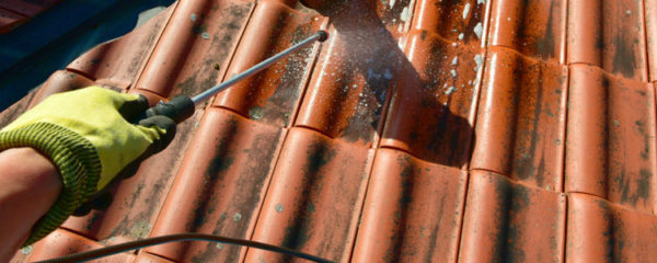 anti-mousse sur le toit