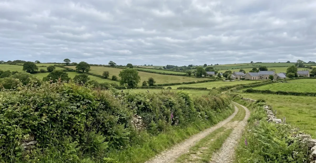 Haie bocagère mature bordant un champ vallonné sous un ciel nuageux typique du climat océanique breton