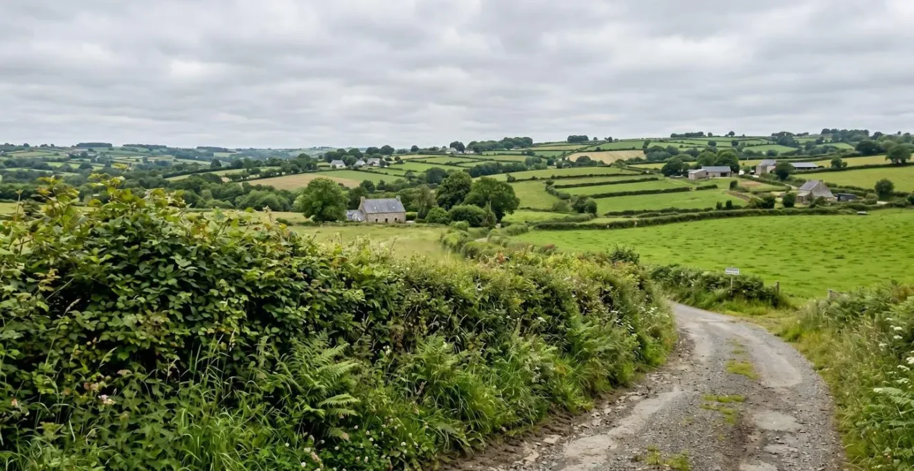 Haie bocagère mature bordant un champ vallonné sous un ciel nuageux typique du climat océanique breton