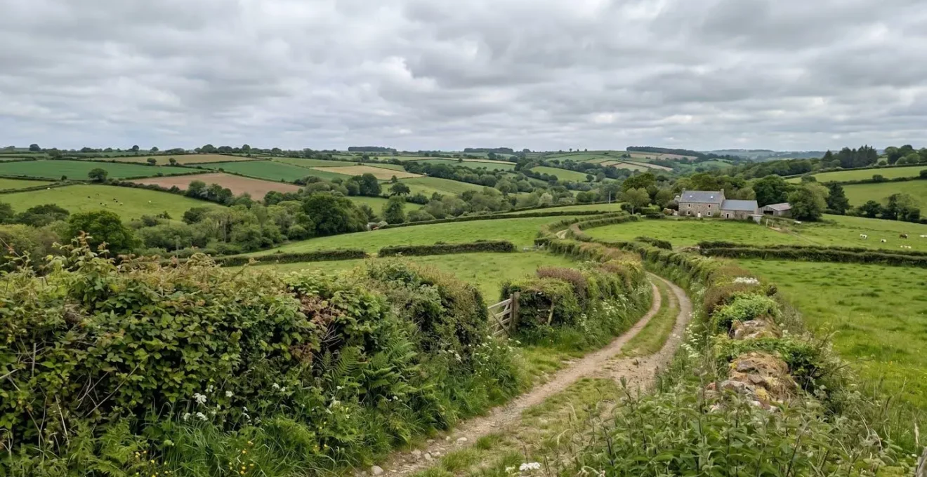 Haie bocagère mature bordant un champ vallonné sous un ciel nuageux typique du climat océanique breton